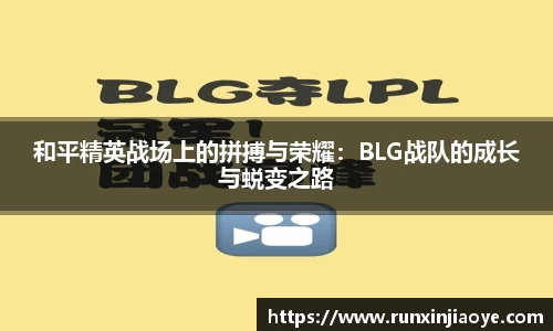 DG视讯